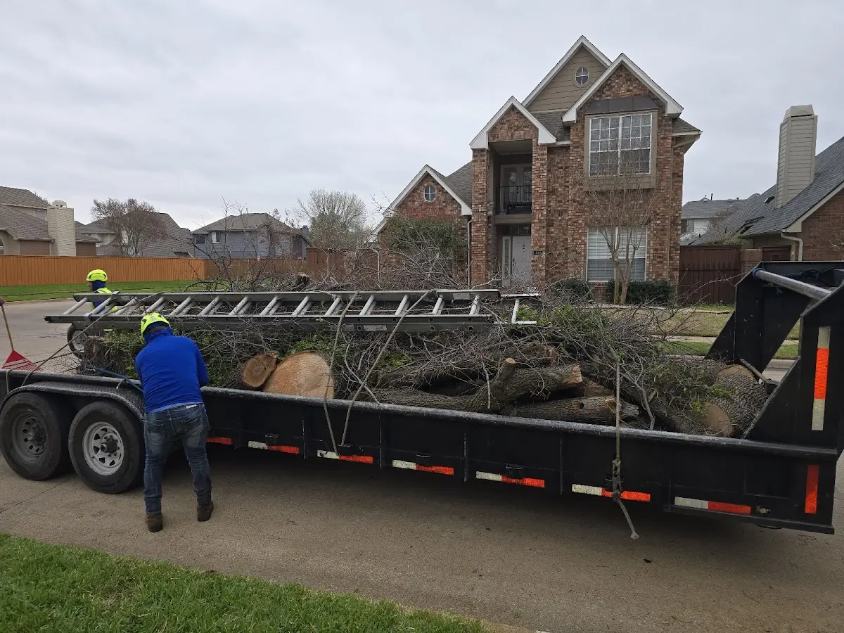 Expert Tree Fertilization with proper safety equipment in Ramer